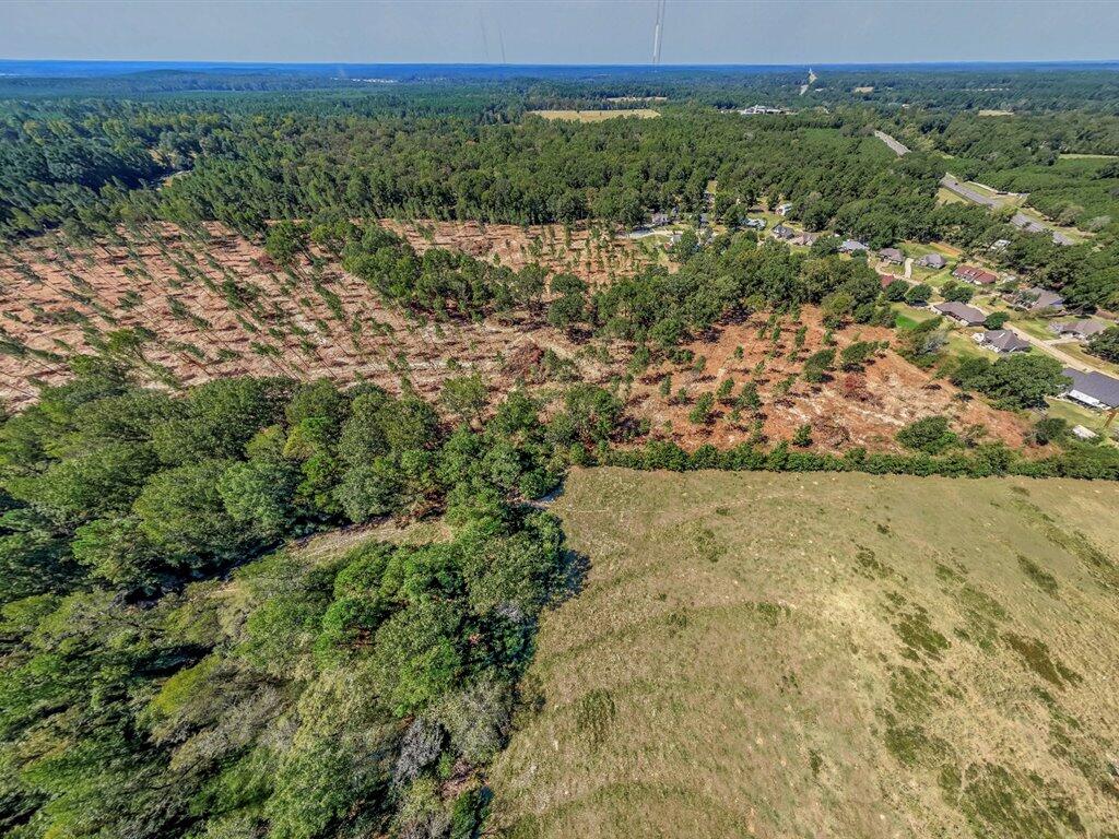 PID 32475 Austin Lane