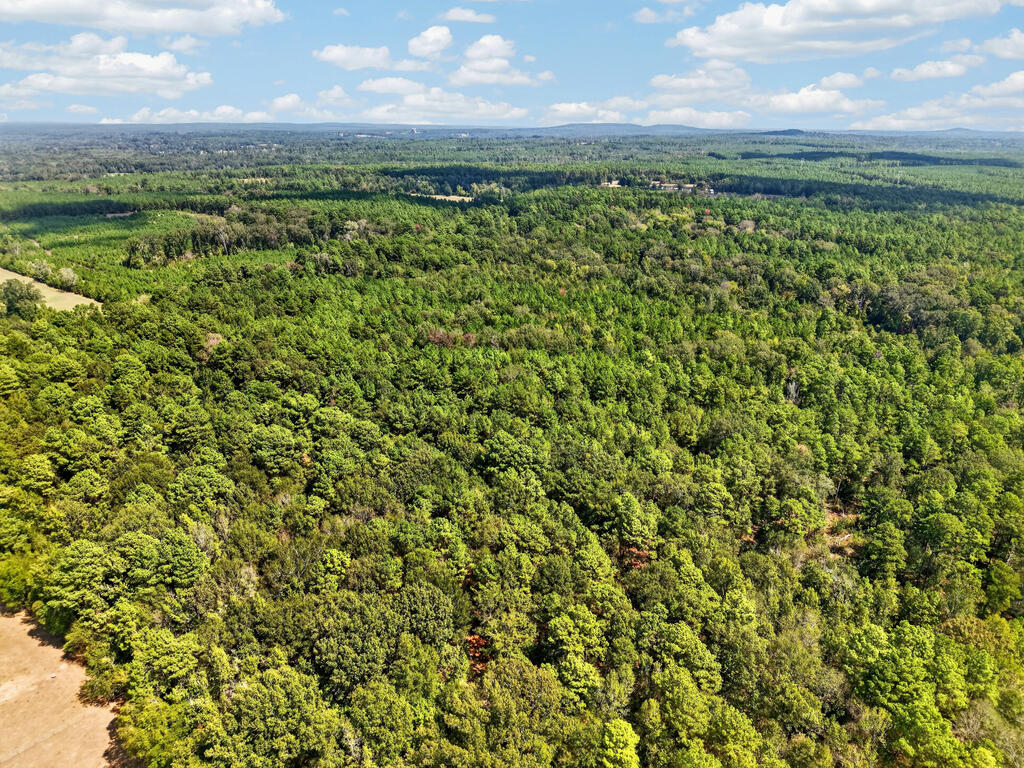 Aerial view of densely wooded acreage stretching to the horizon, with a small clearing at the lower left.