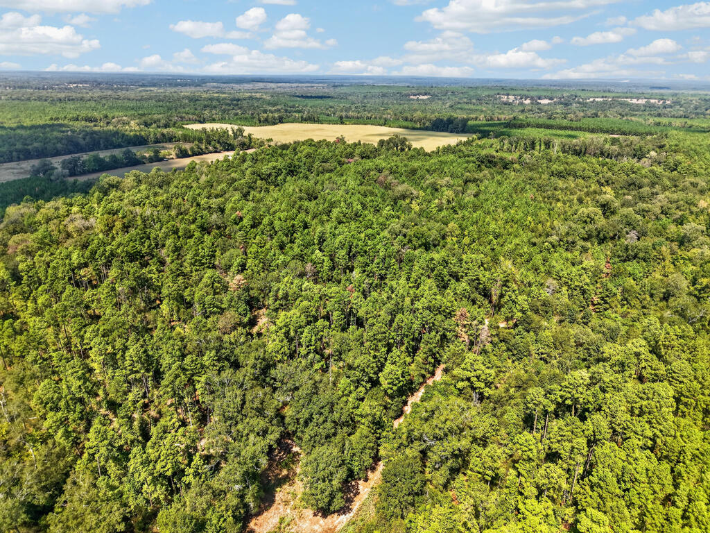 Aerial view of densely wooded land with a dirt access track and open fields beyond.