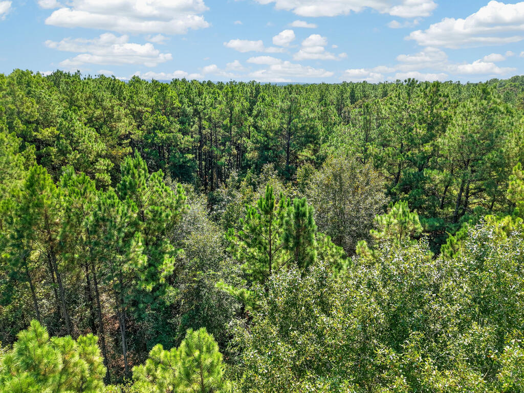Aerial view over densely wooded acreage beneath a partly cloudy blue sky.