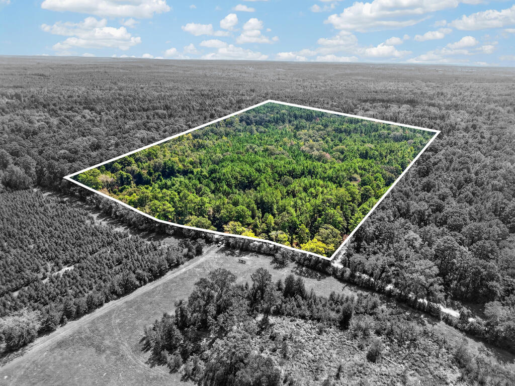 Aerial view of a wooded acreage parcel outlined in white amid surrounding forest.