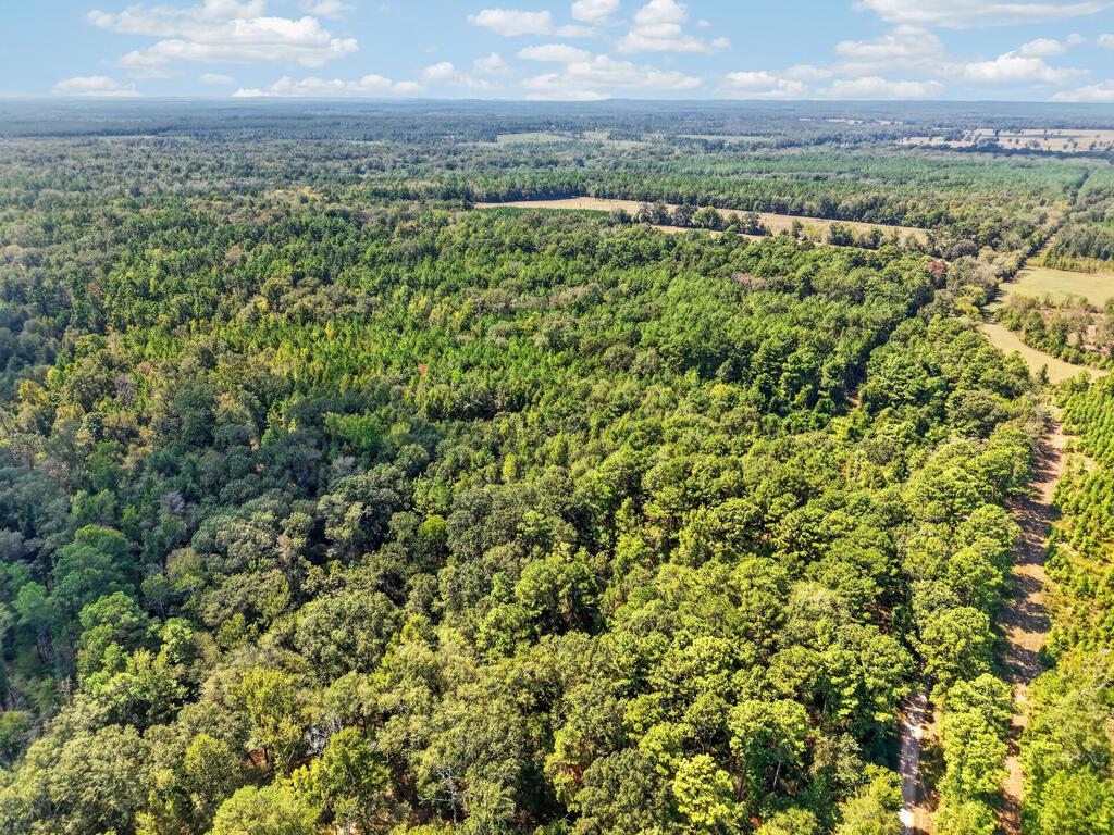 Aerial view of a densely wooded rural property with a clearing along the right edge.
