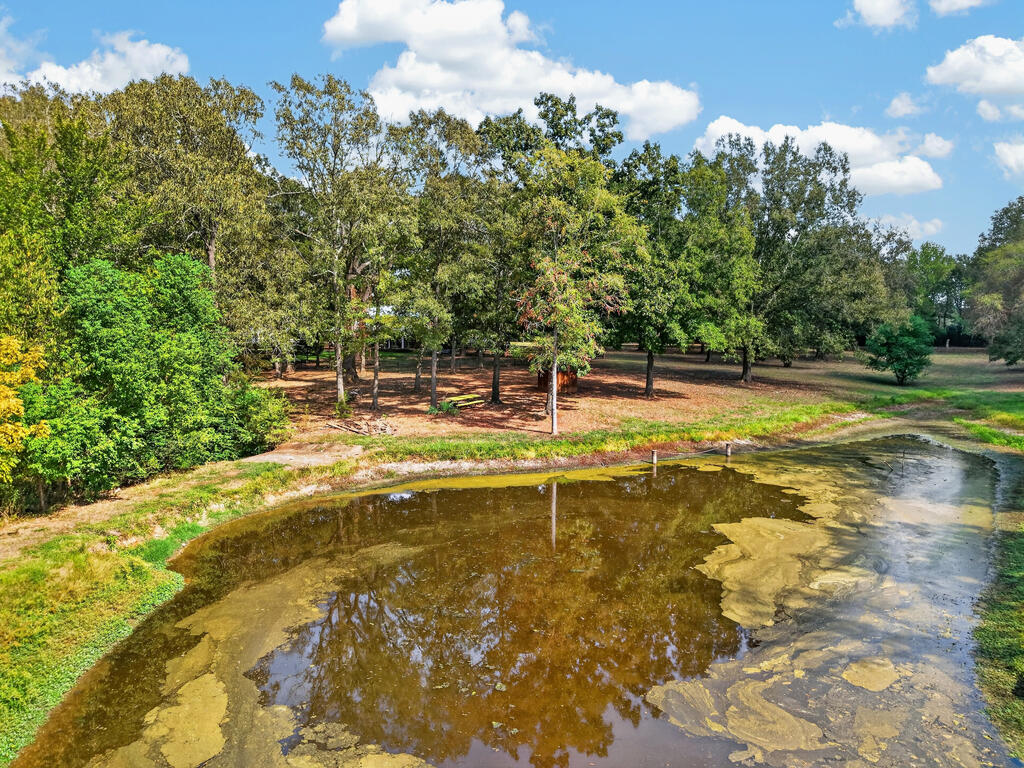 Pond bordered by grassy banks and mature trees at 925 CR 262.