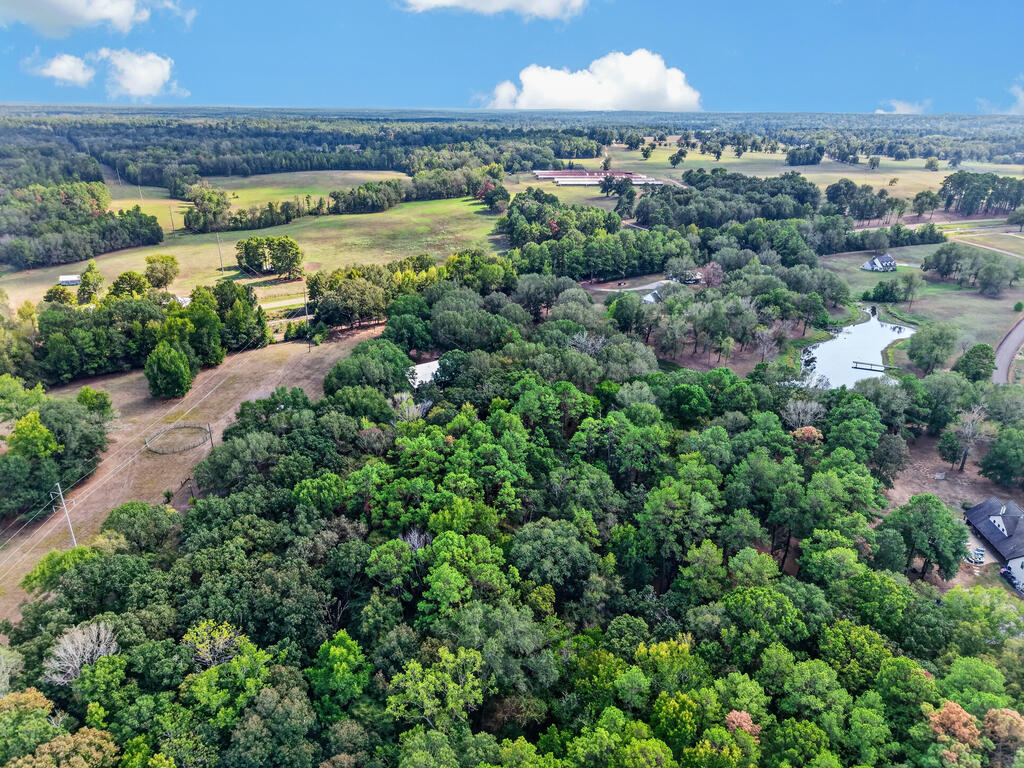 Aerial view of wooded acreage, open fields, and a small pond.