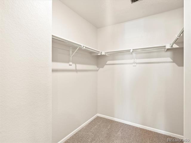 14432 Pansy Loop