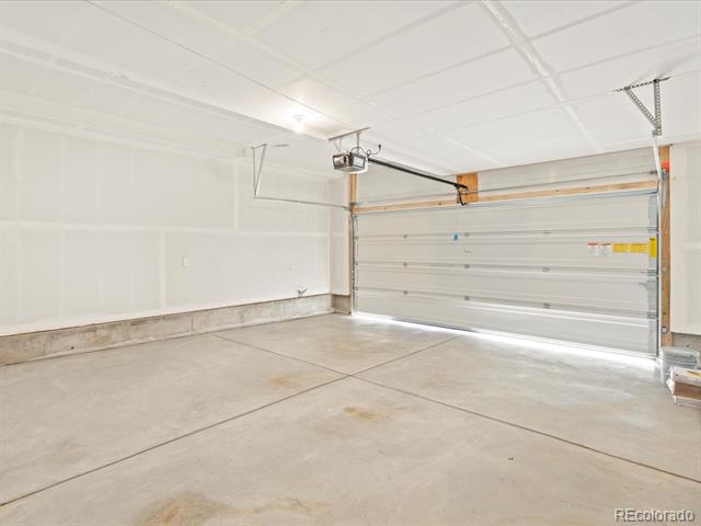 14432 Pansy Loop