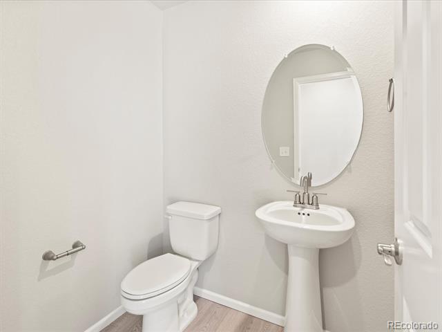 14432 Pansy Loop