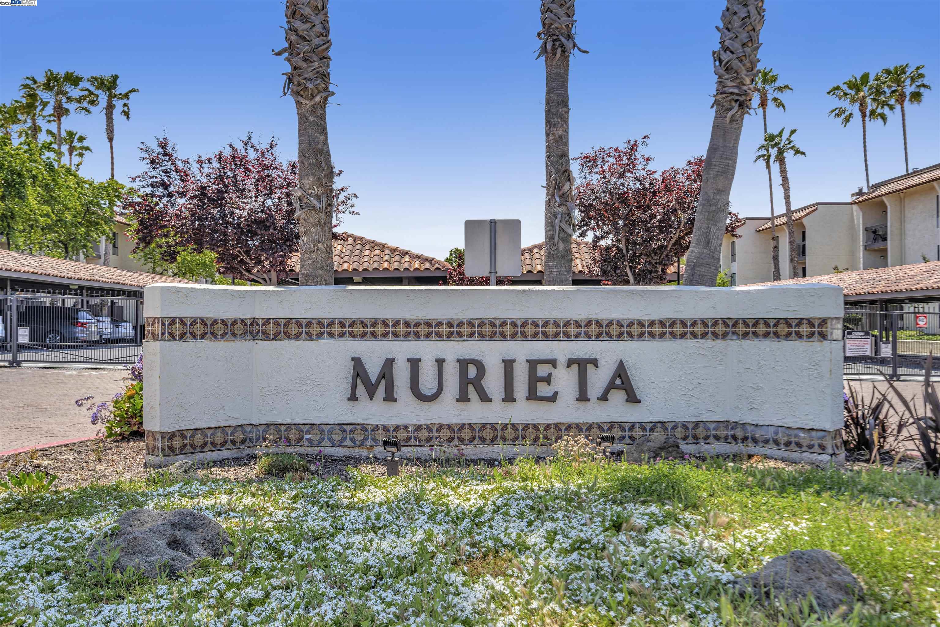 39821 Cedar Blvd # 203