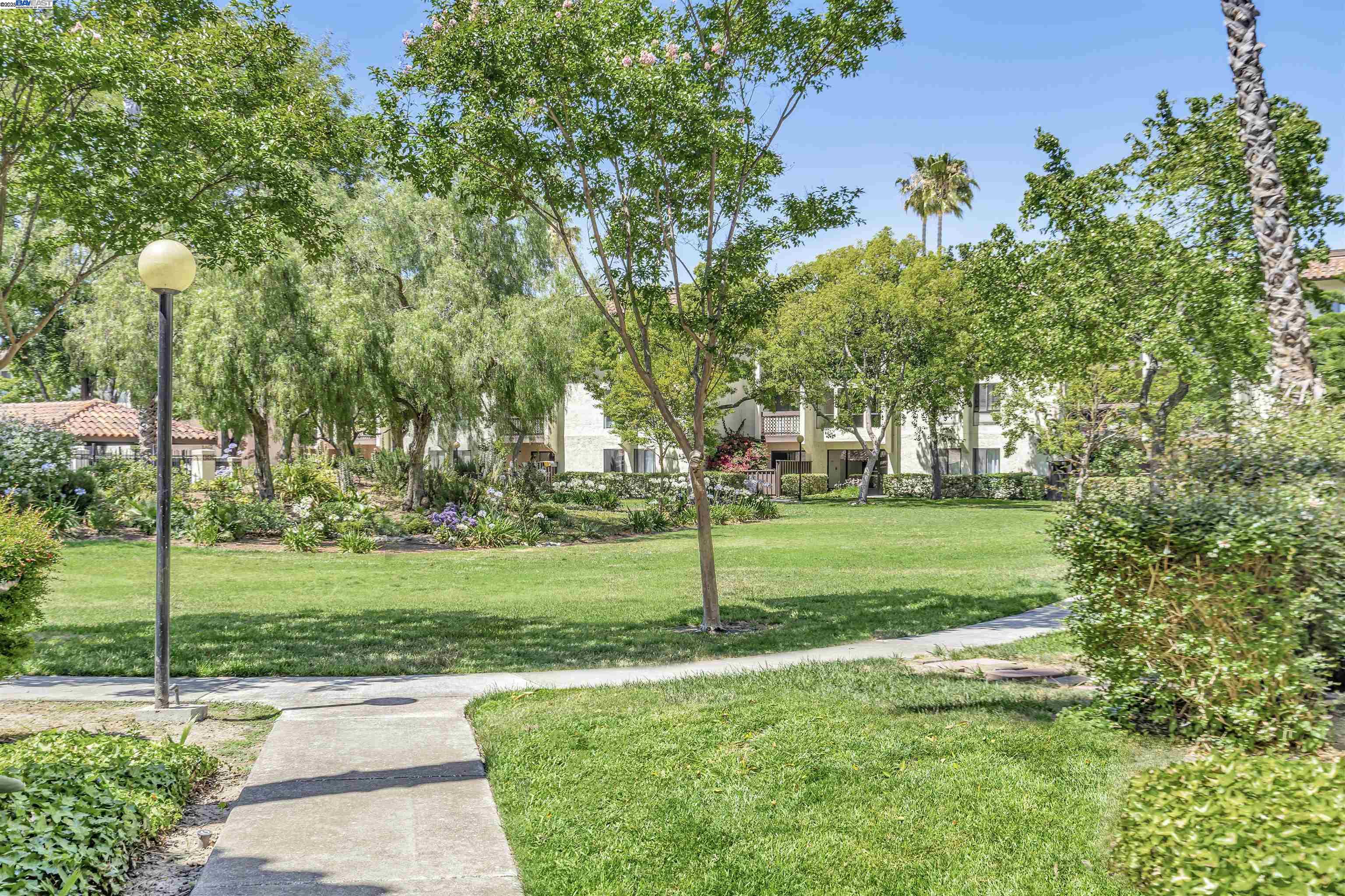 39821 Cedar Blvd # 203