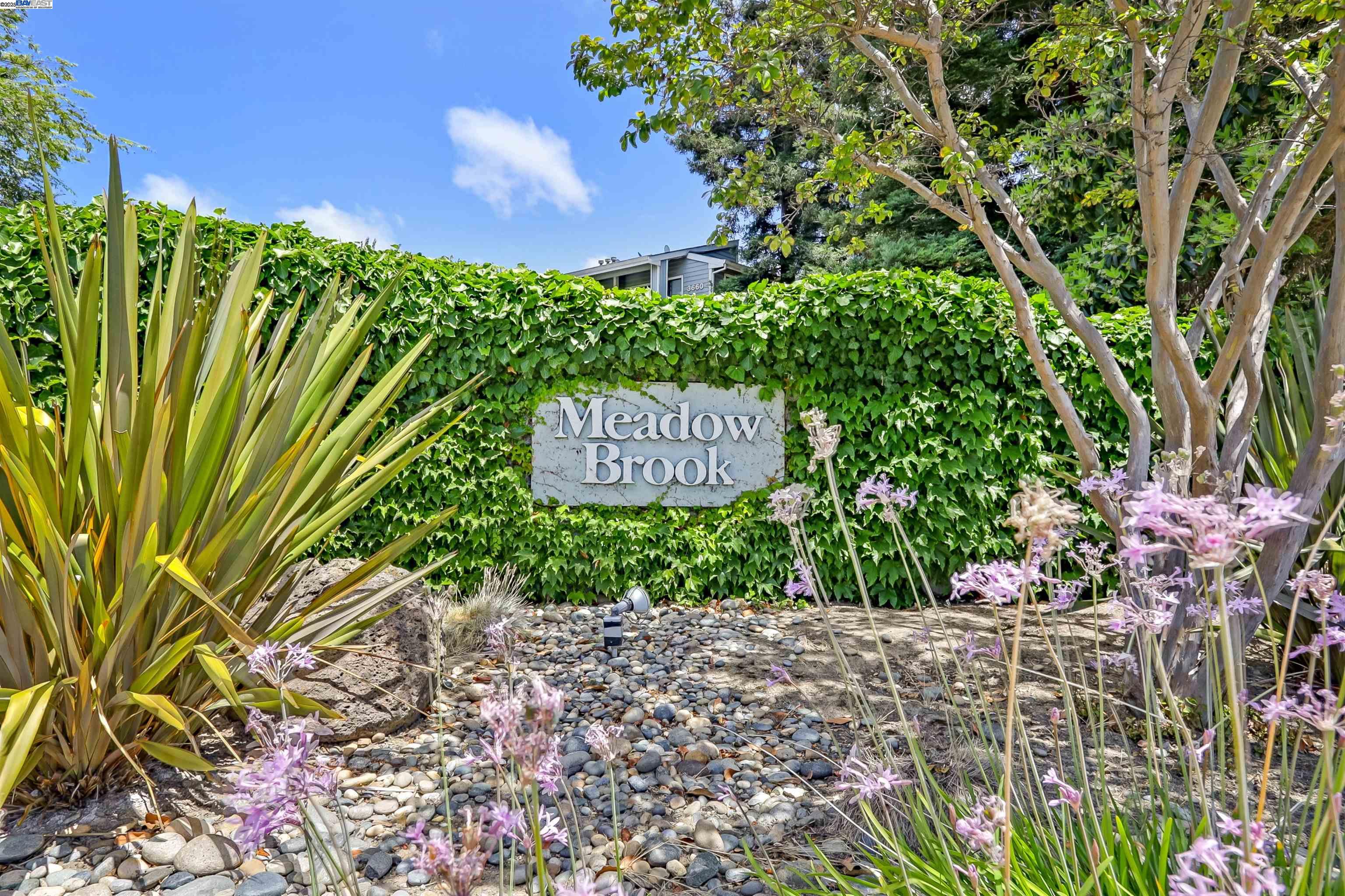 36996 Meadowbrook Cmn # 104