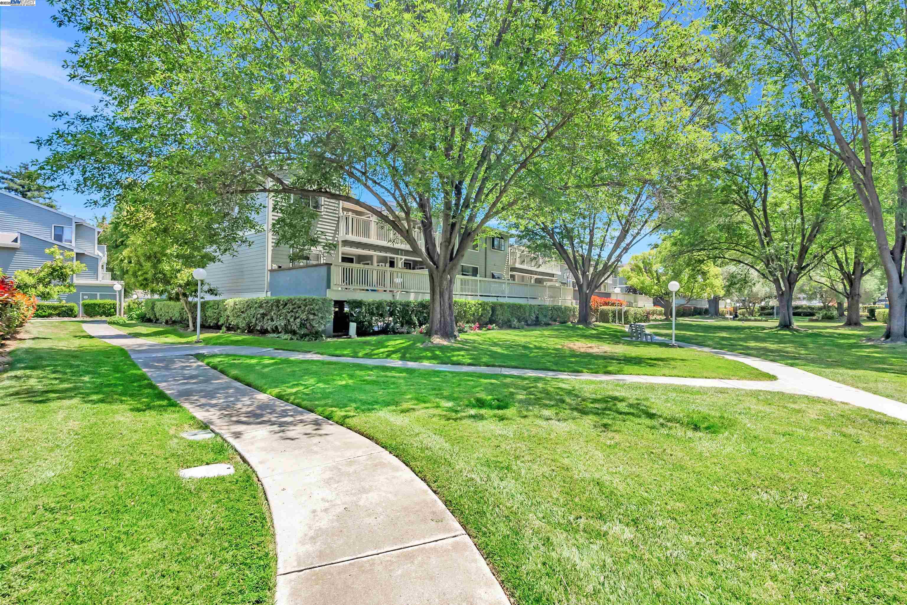 36996 Meadowbrook Cmn # 104