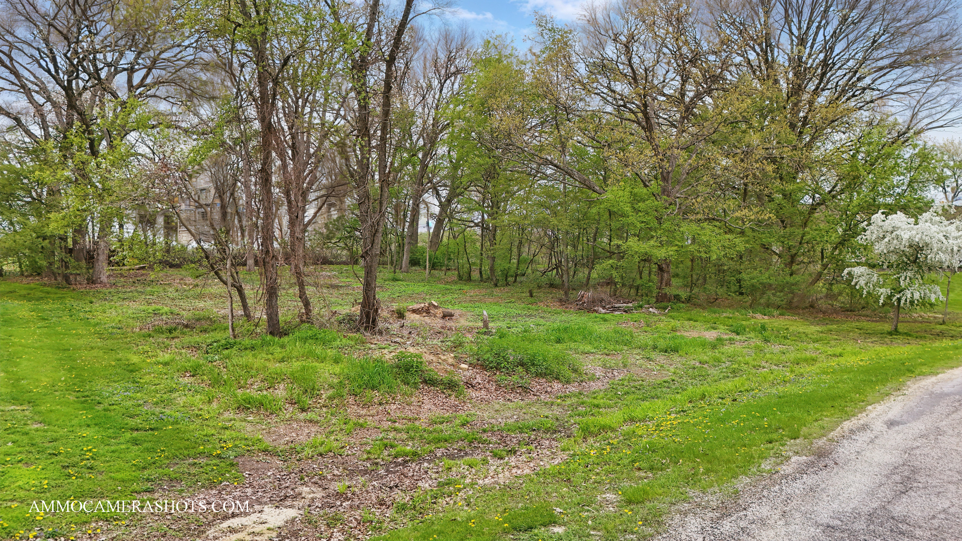 Lot 3 Ellwood Greens Road