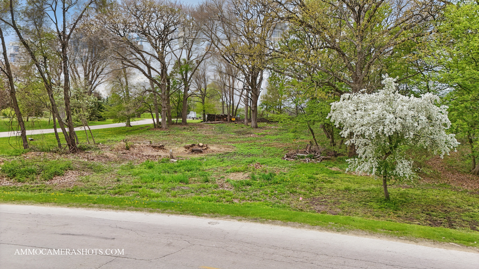 Lot 3 Ellwood Greens Road