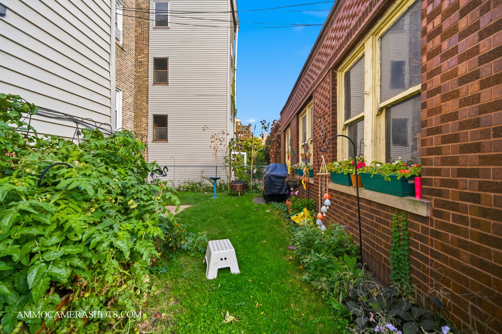 2045 W Farragut Avenue Unit: 3