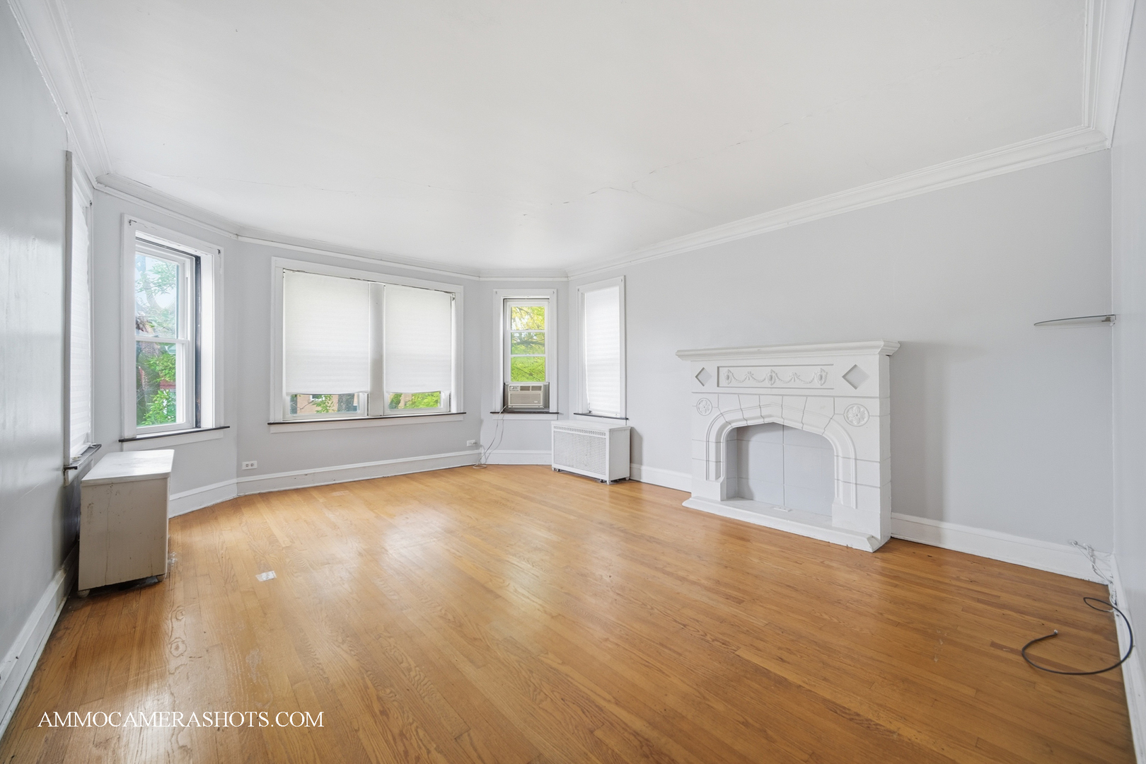 2045 W Farragut Avenue Unit: 3