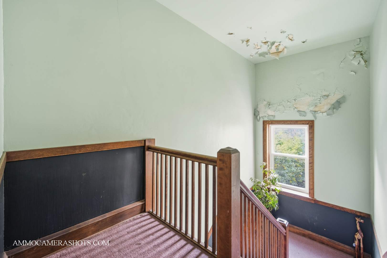 2045 W Farragut Avenue Unit: 3