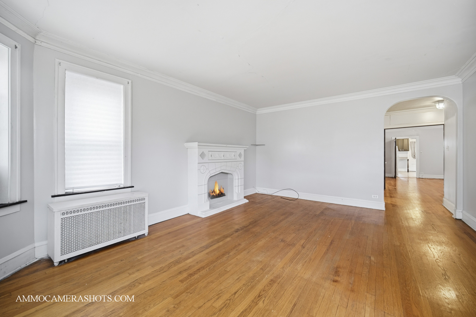 2045 W Farragut Avenue Unit: 3
