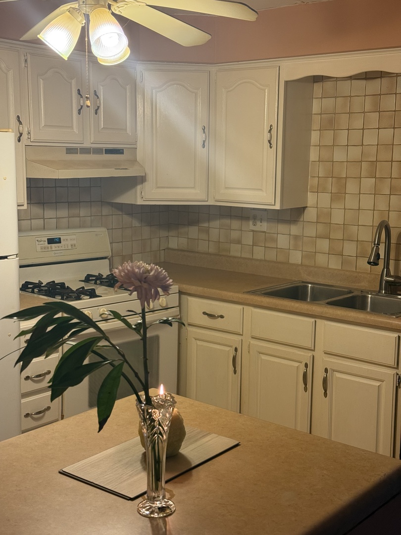 5241 N East River Road Unit: 1C