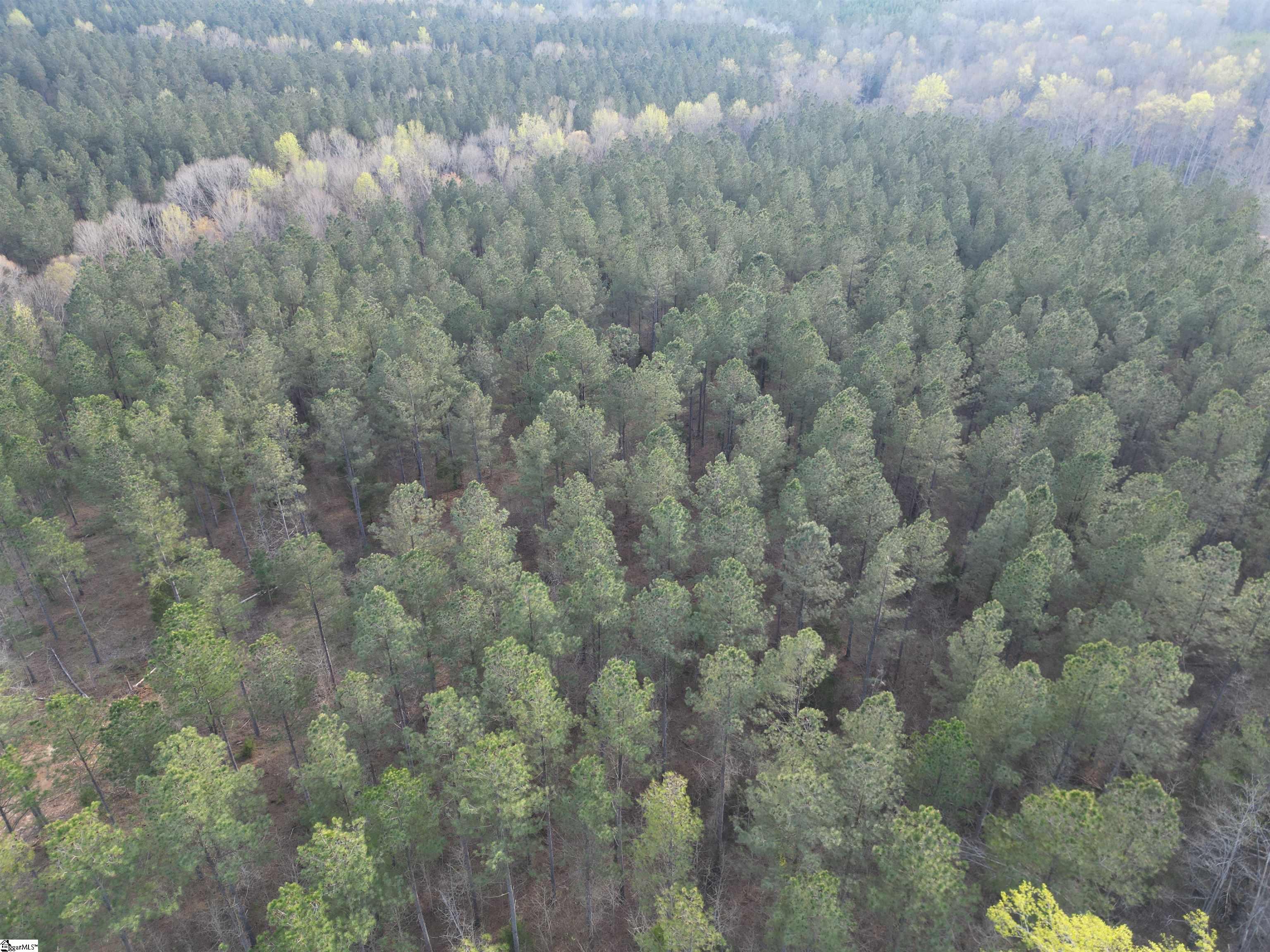 00 Cedar Valley Road