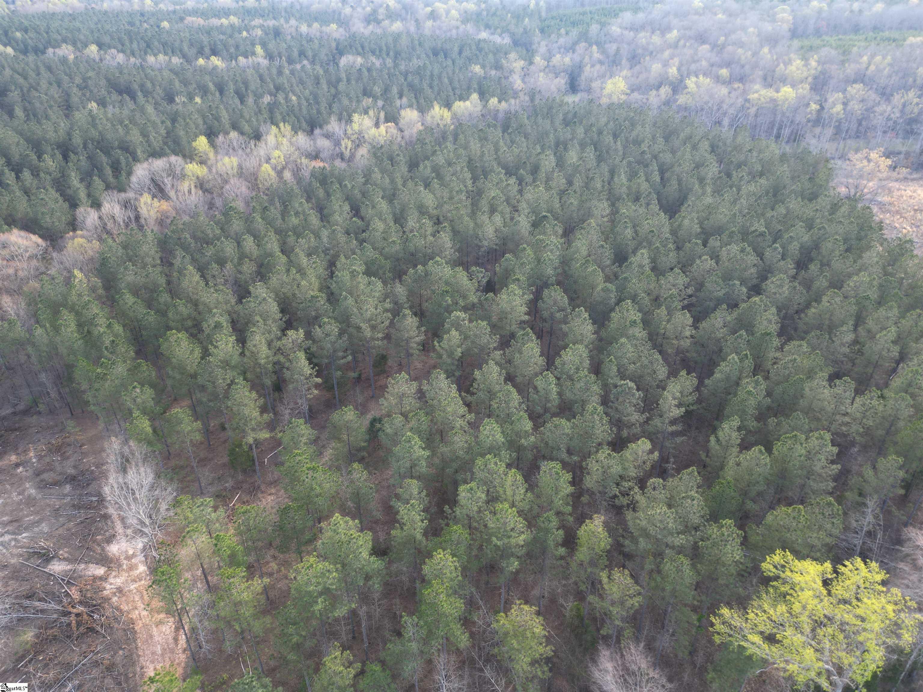 00 Cedar Valley Road