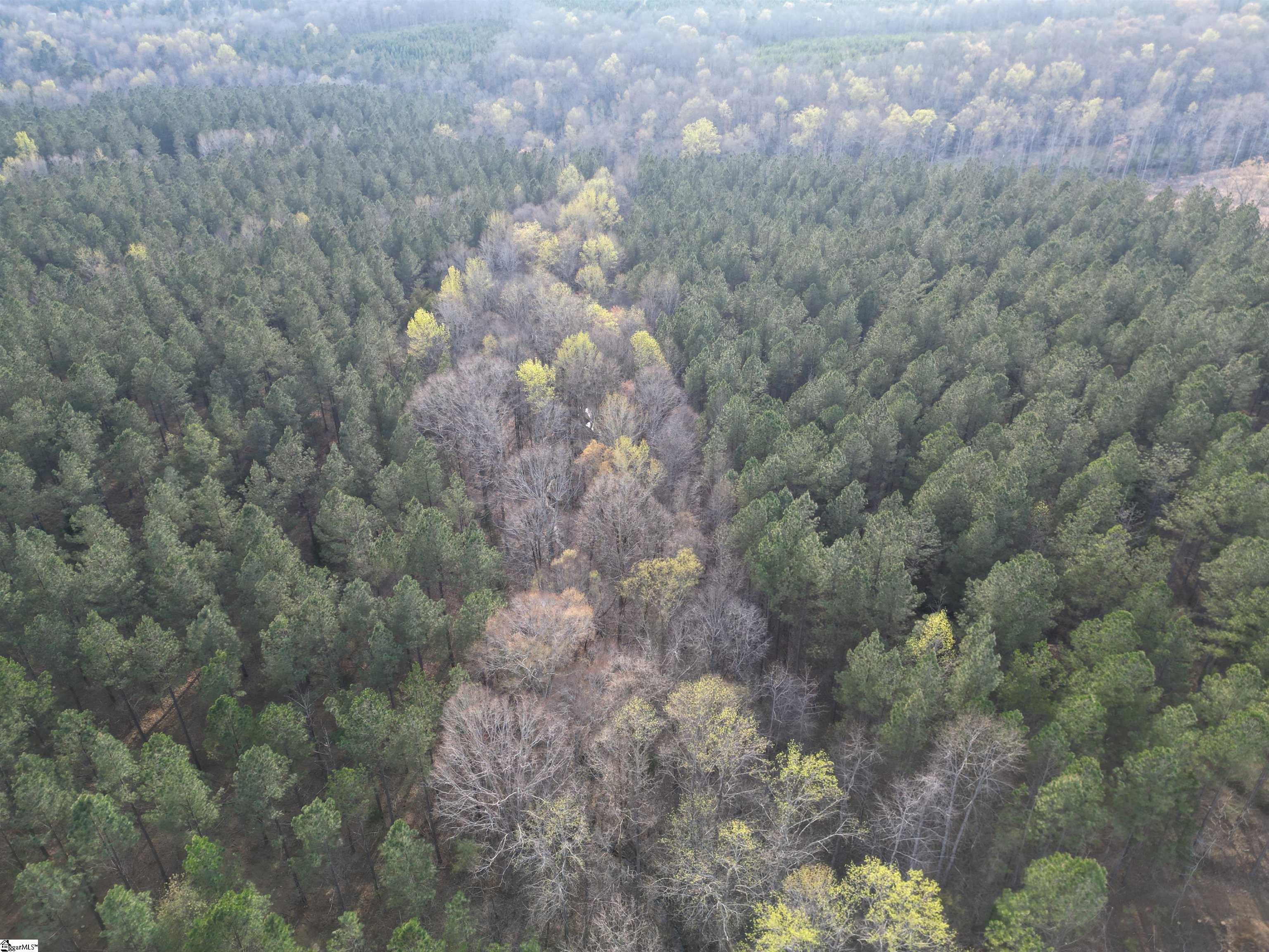 00 Cedar Valley Road