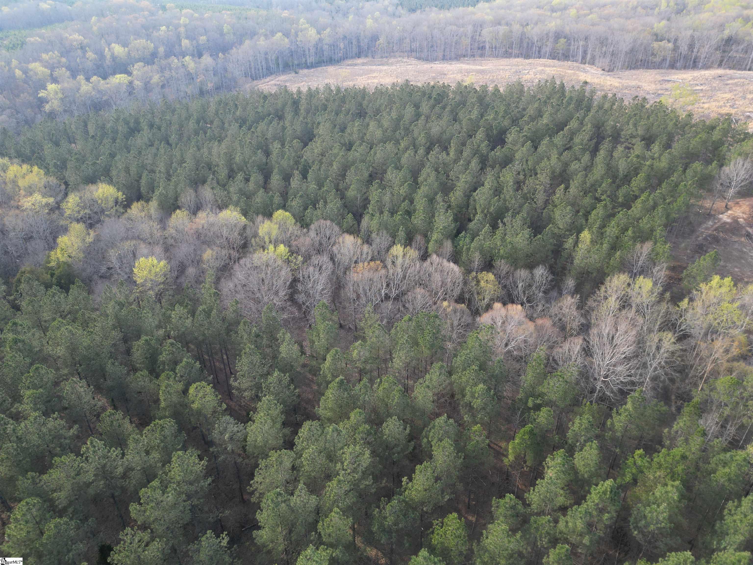 00 Cedar Valley Road