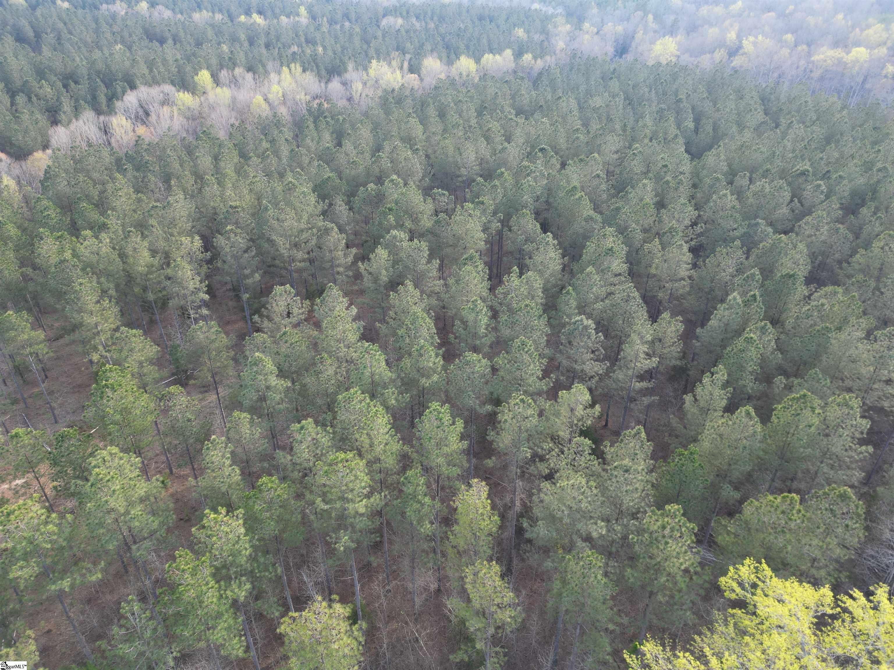 00 Cedar Valley Road