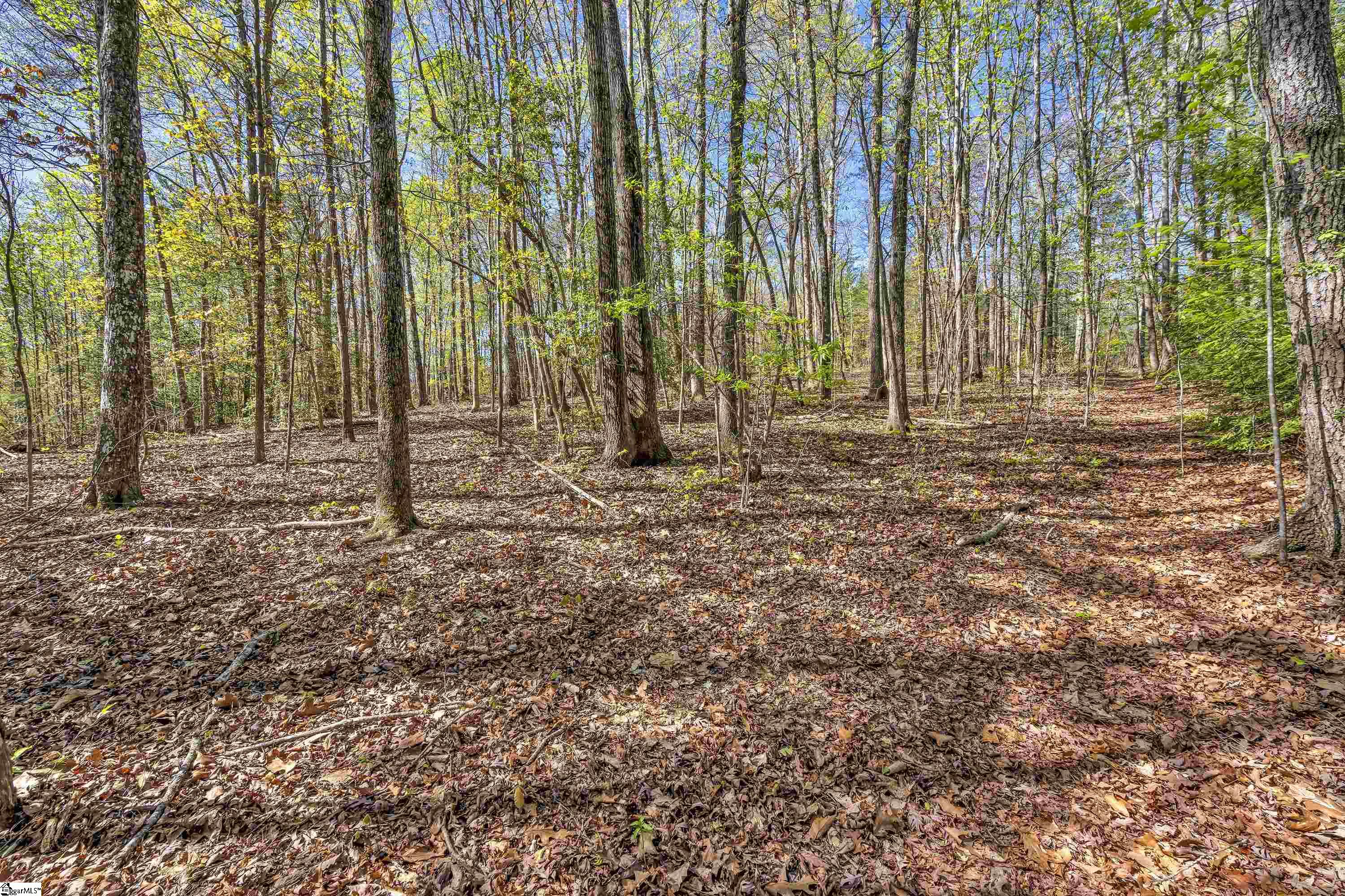 285 N Old Buncombe Road