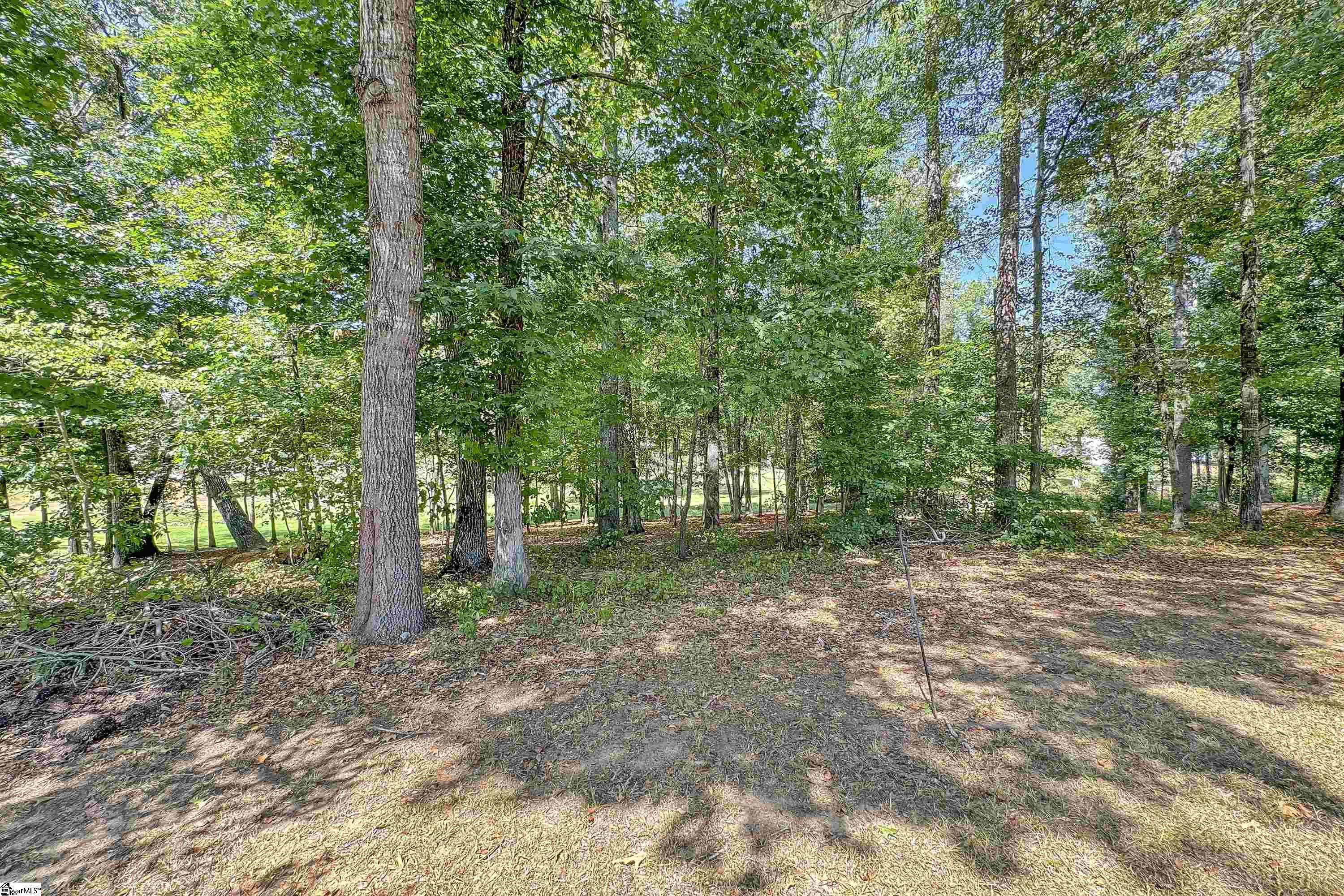 339 Springdale Avenue