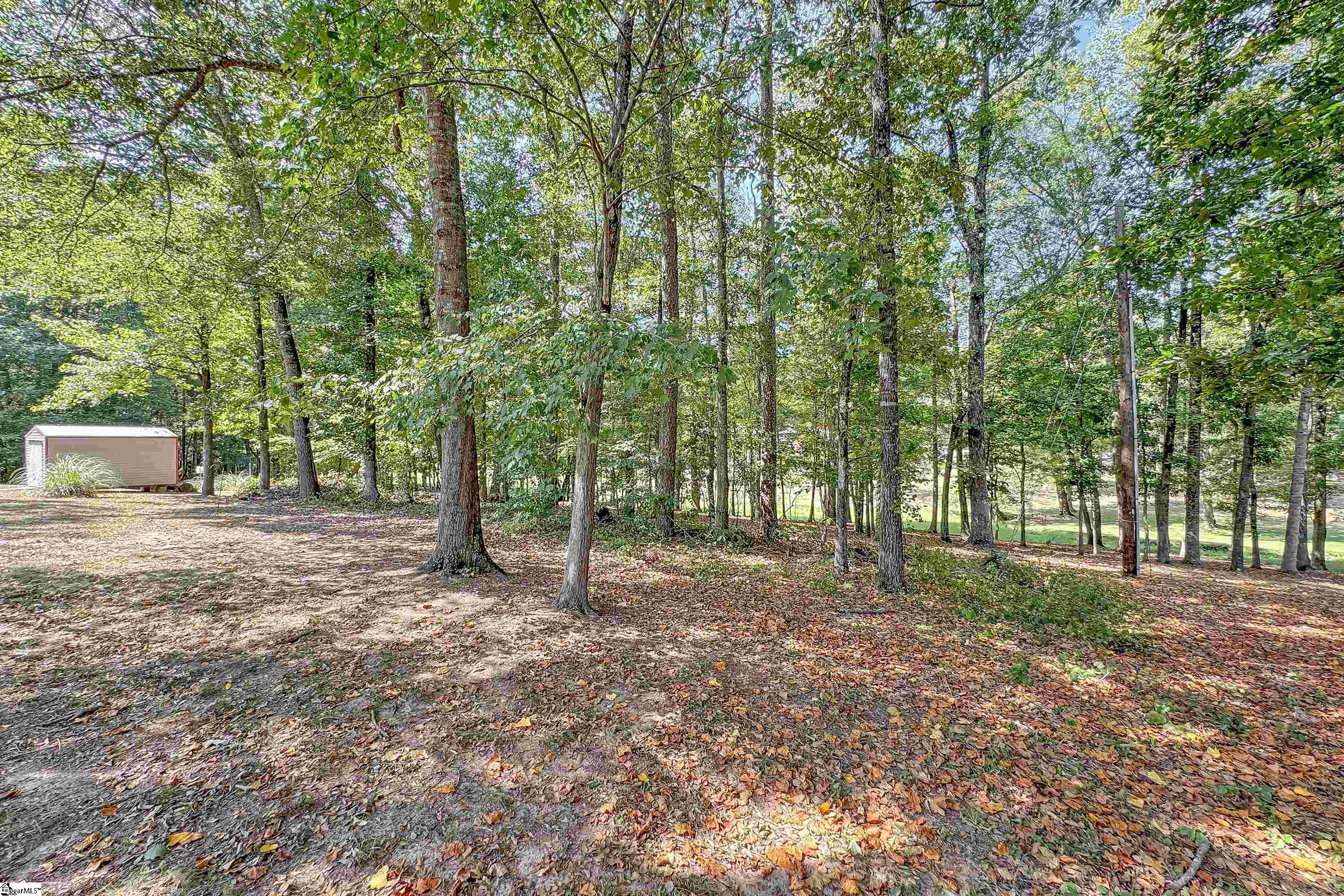 339 Springdale Avenue