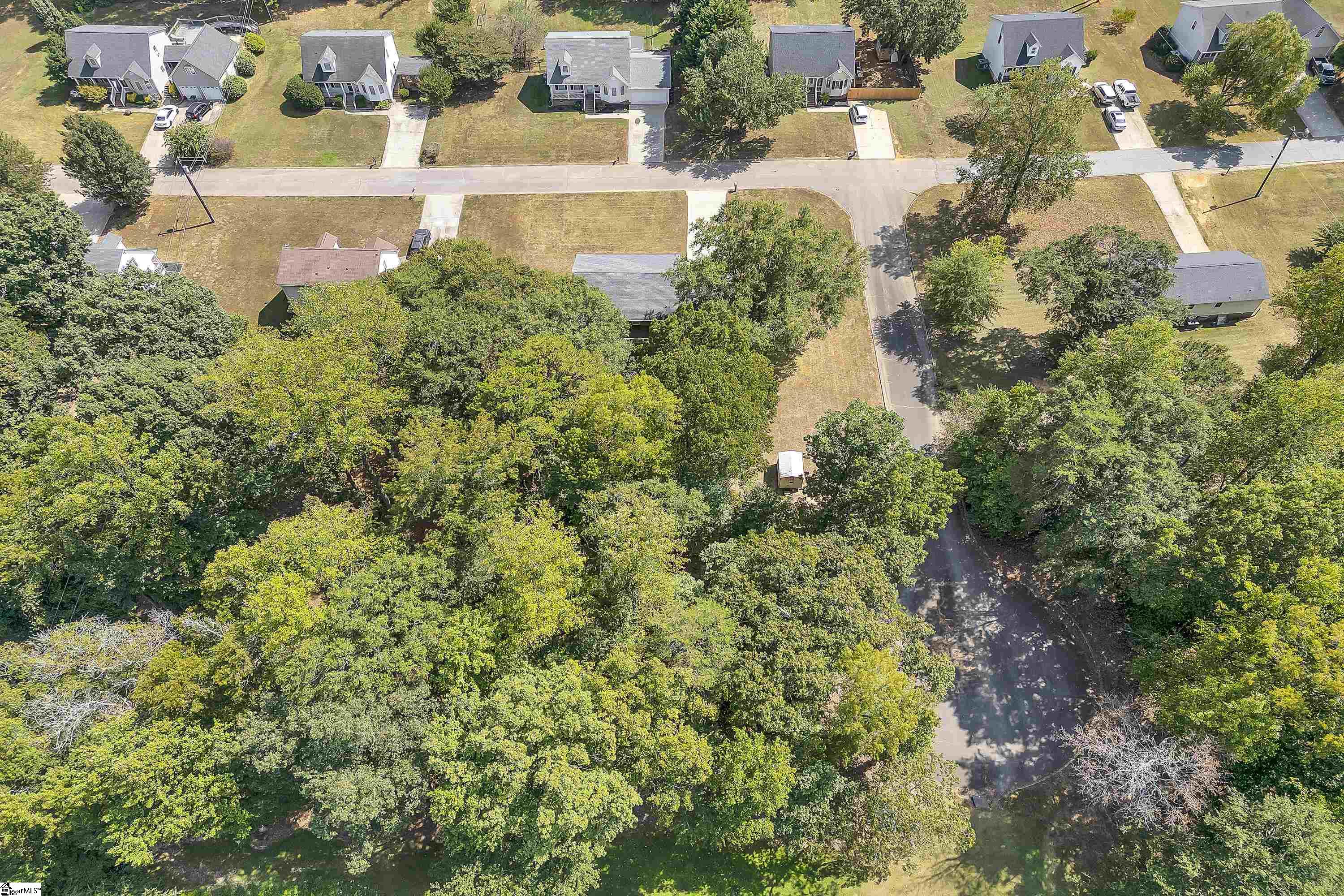 339 Springdale Avenue