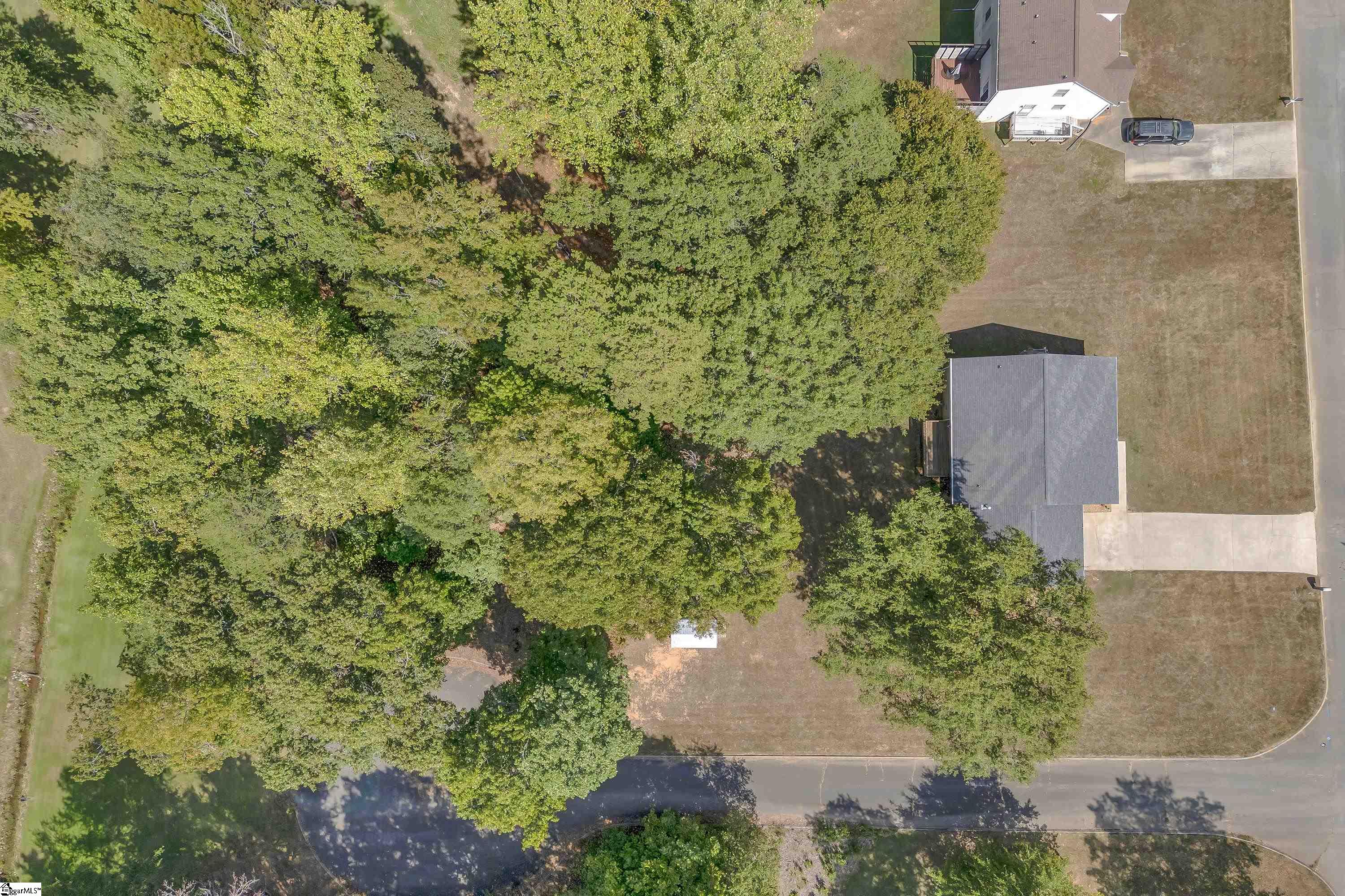 339 Springdale Avenue