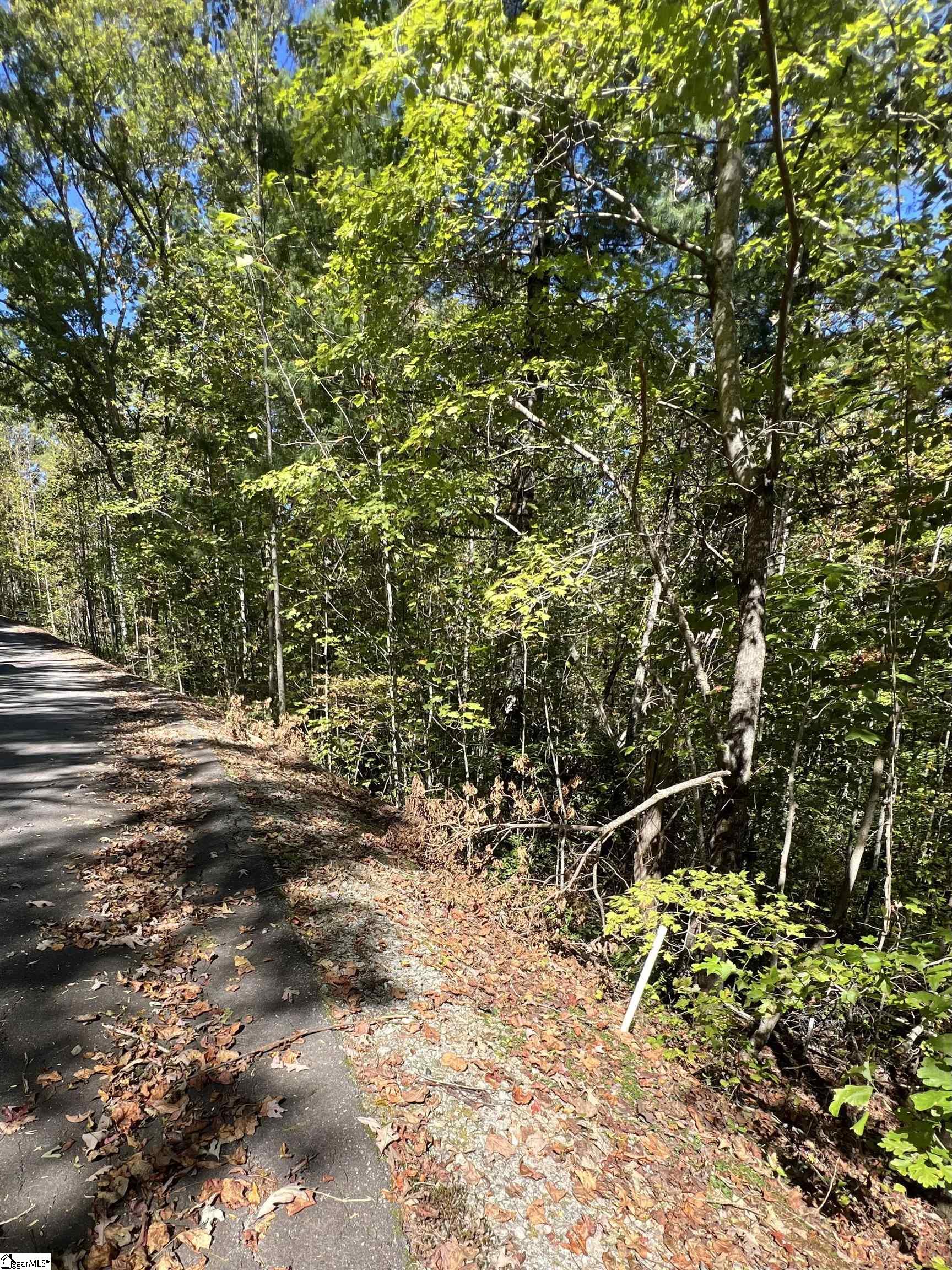 120 Falcon Crest Way