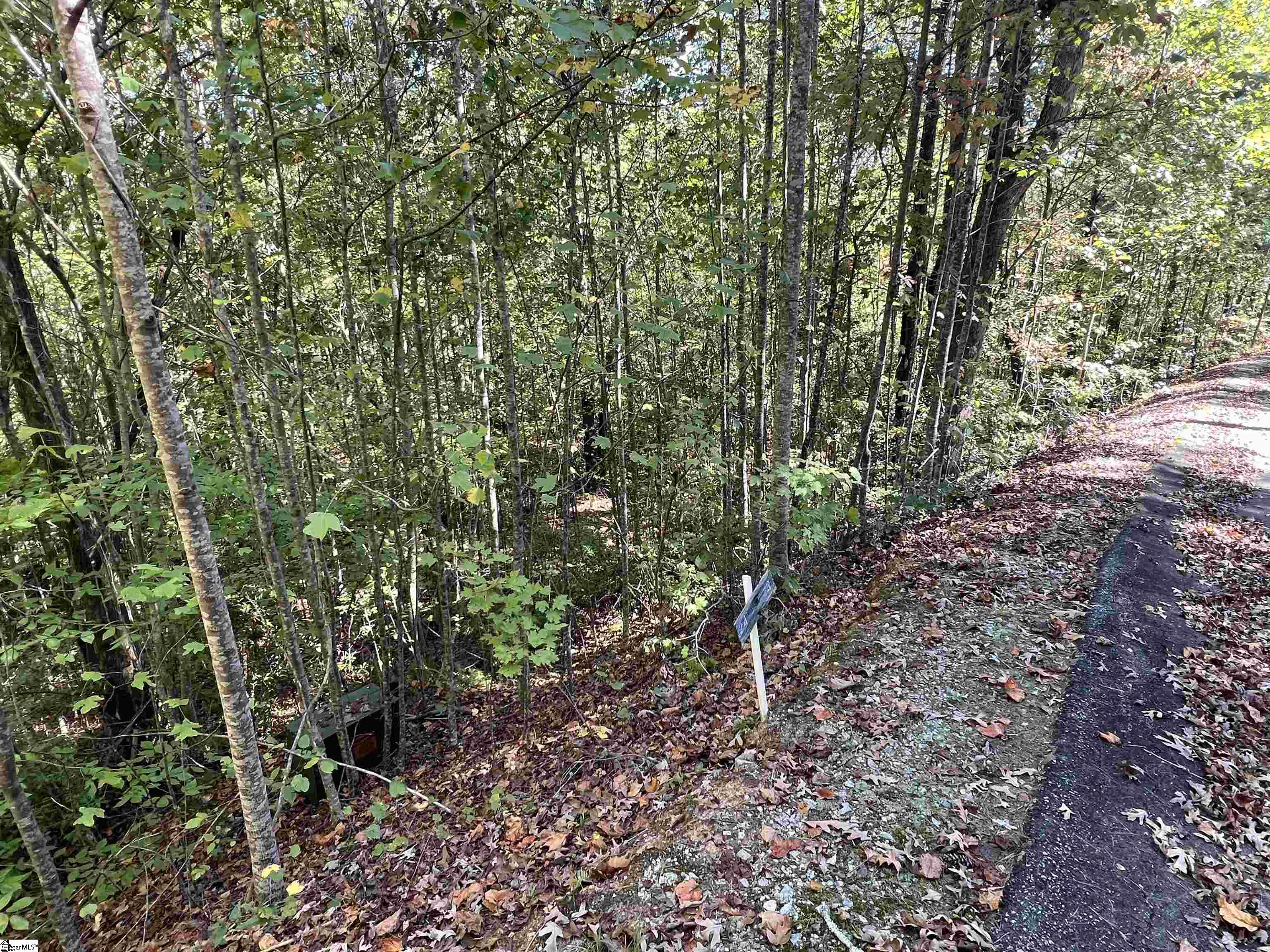 124 Falcon Crest Way