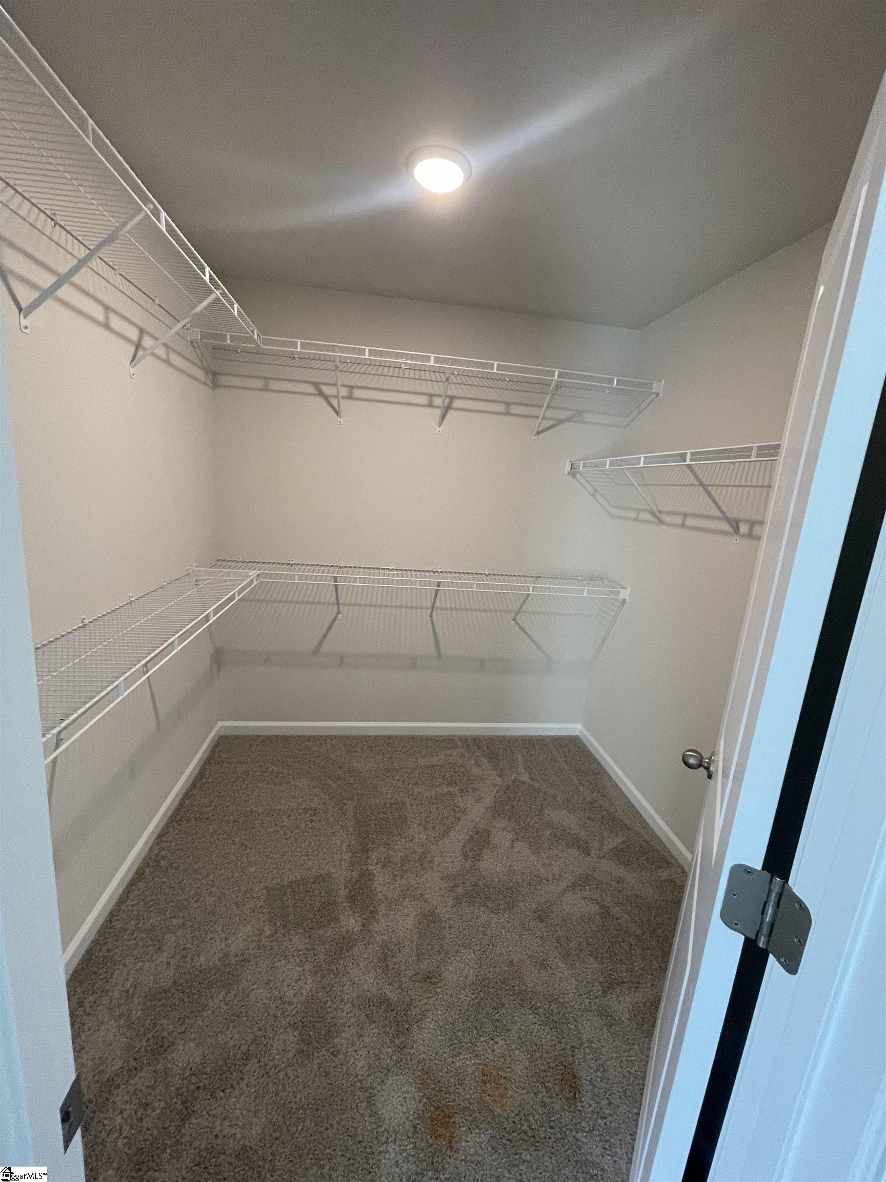 135 Brown Circle # 80