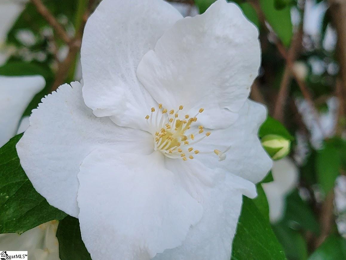 364 Mount Bethel Road