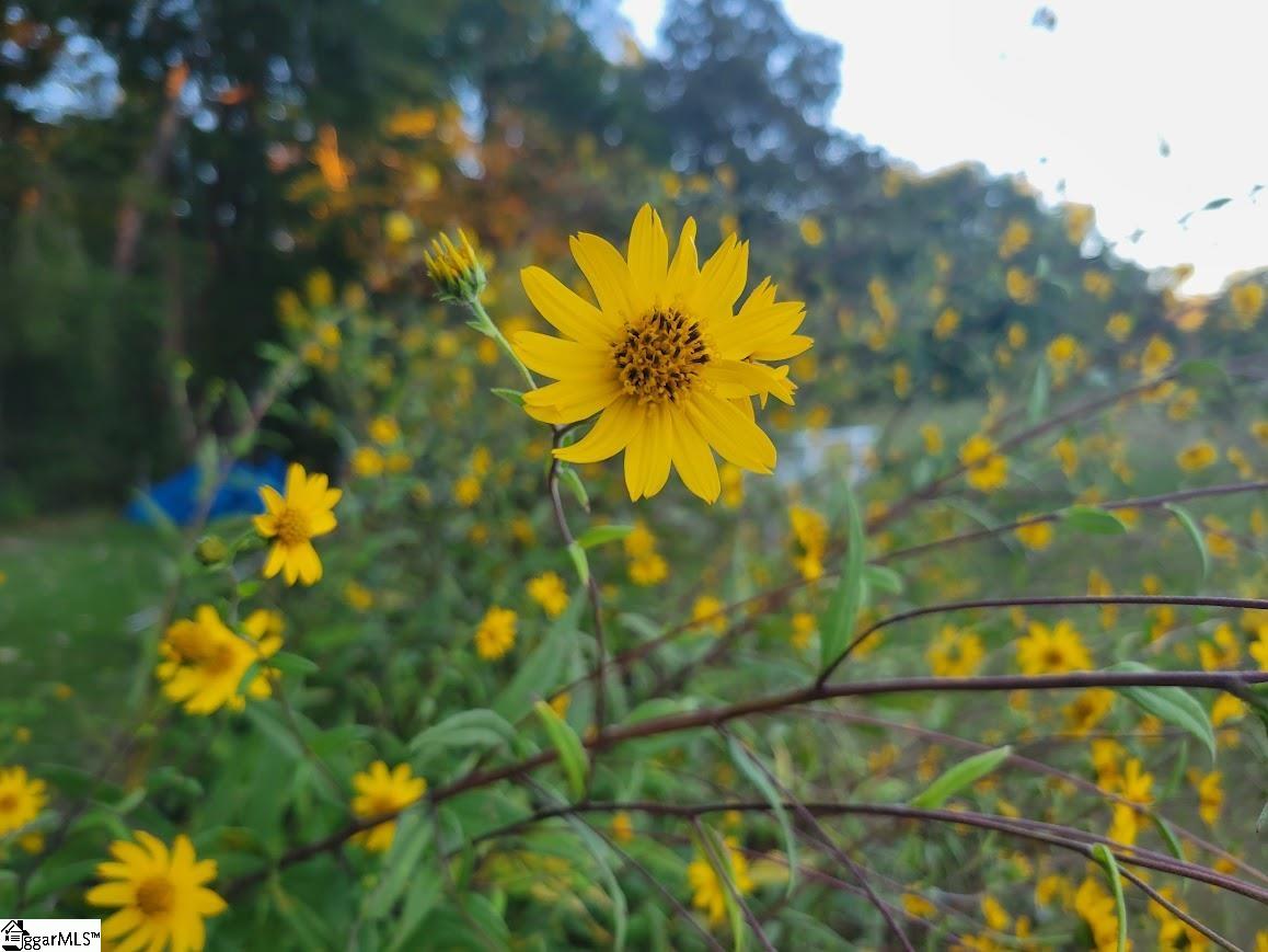 364 Mount Bethel Road