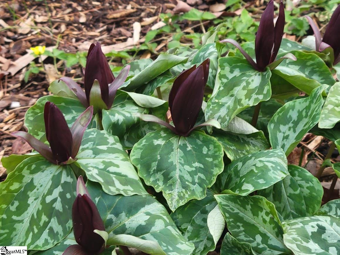 364 Mount Bethel Road