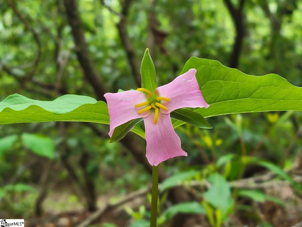 364 Mount Bethel Road