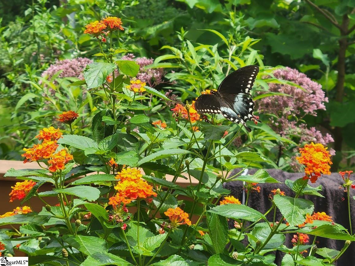 364 Mount Bethel Road