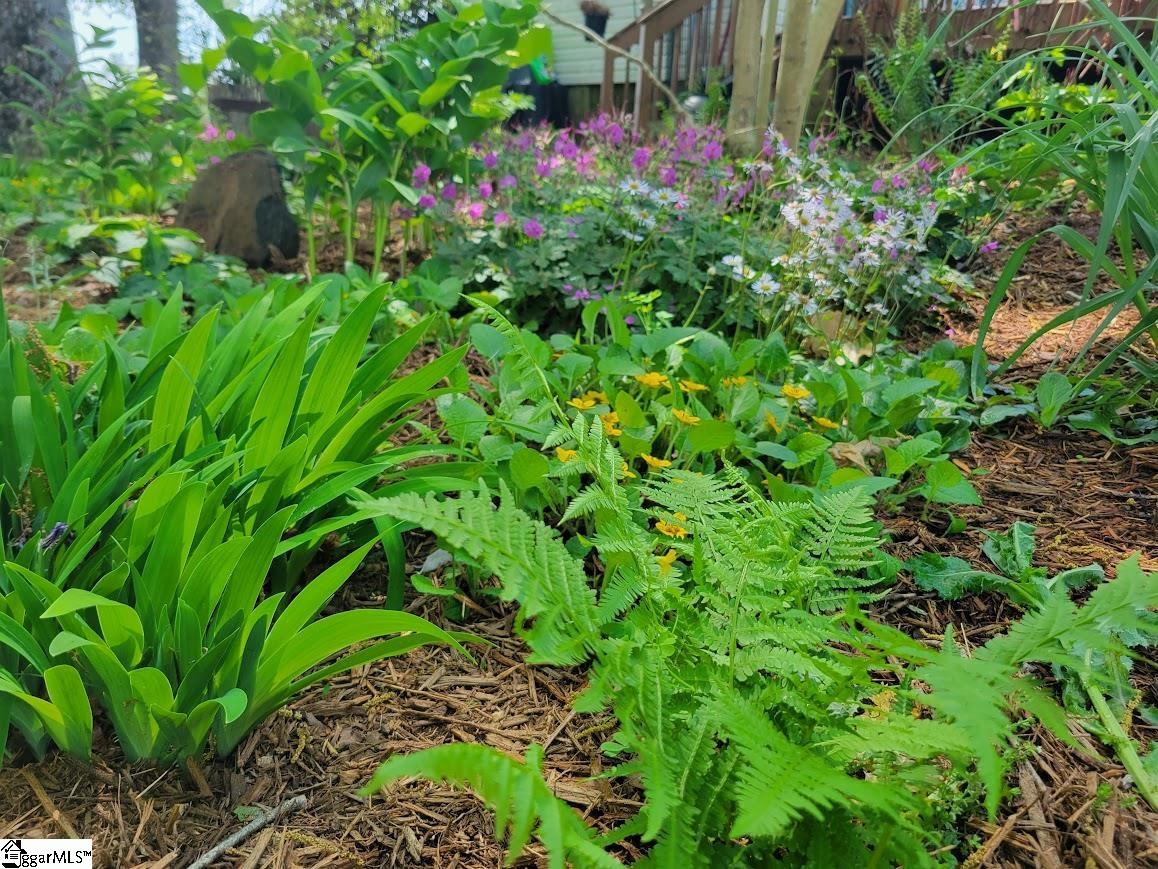 364 Mount Bethel Road