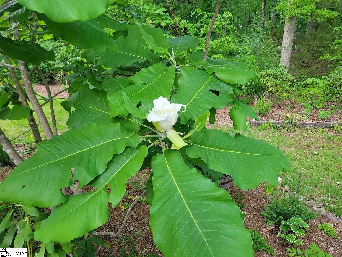 364 Mount Bethel Road