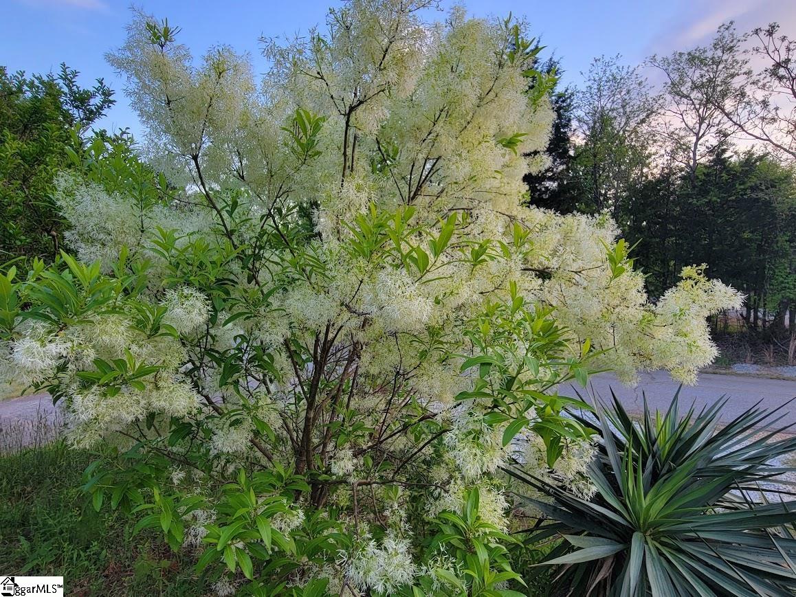 364 Mount Bethel Road