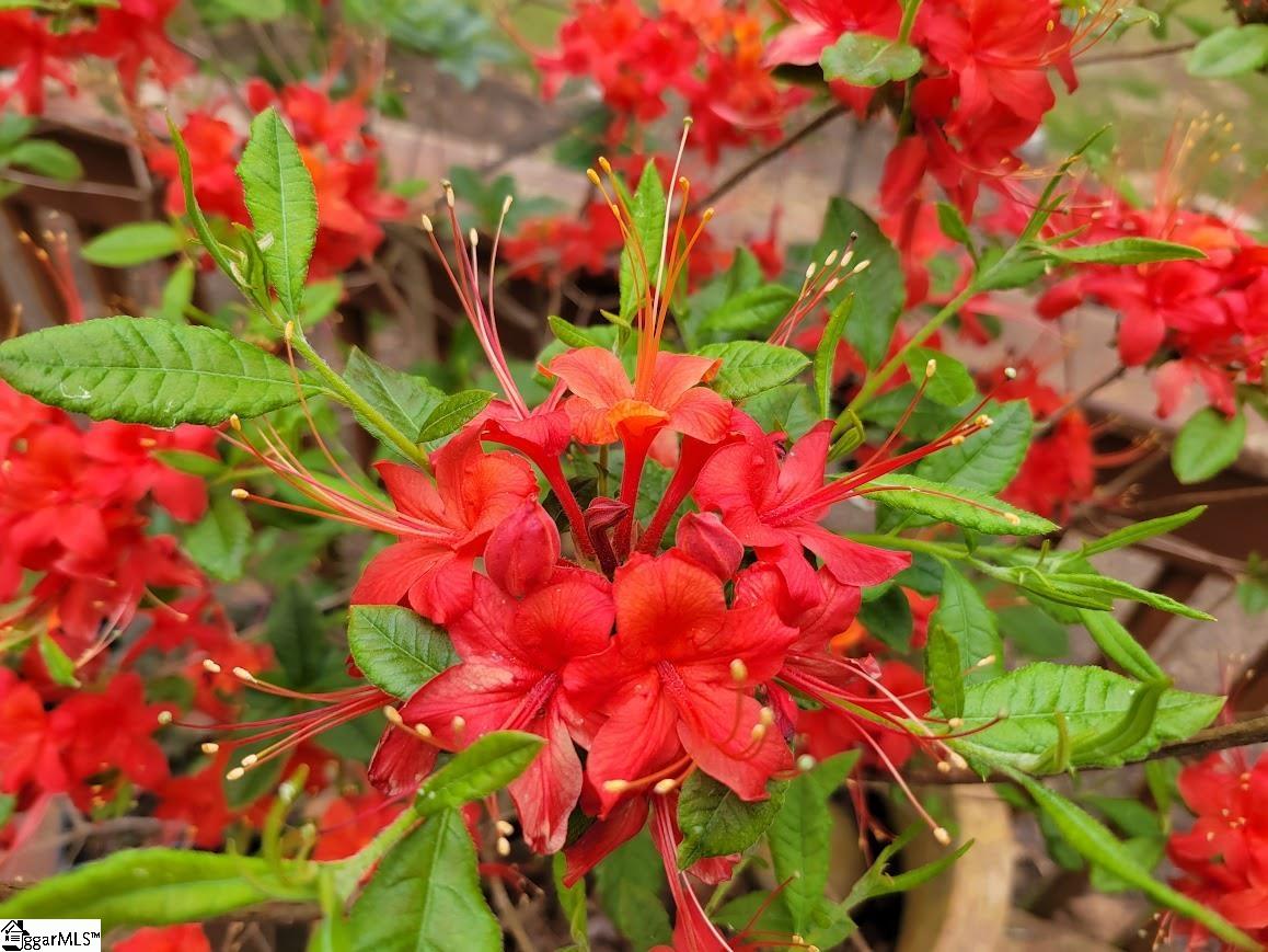 364 Mount Bethel Road