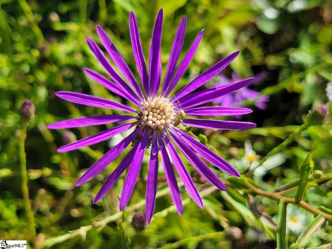 364 Mount Bethel Road