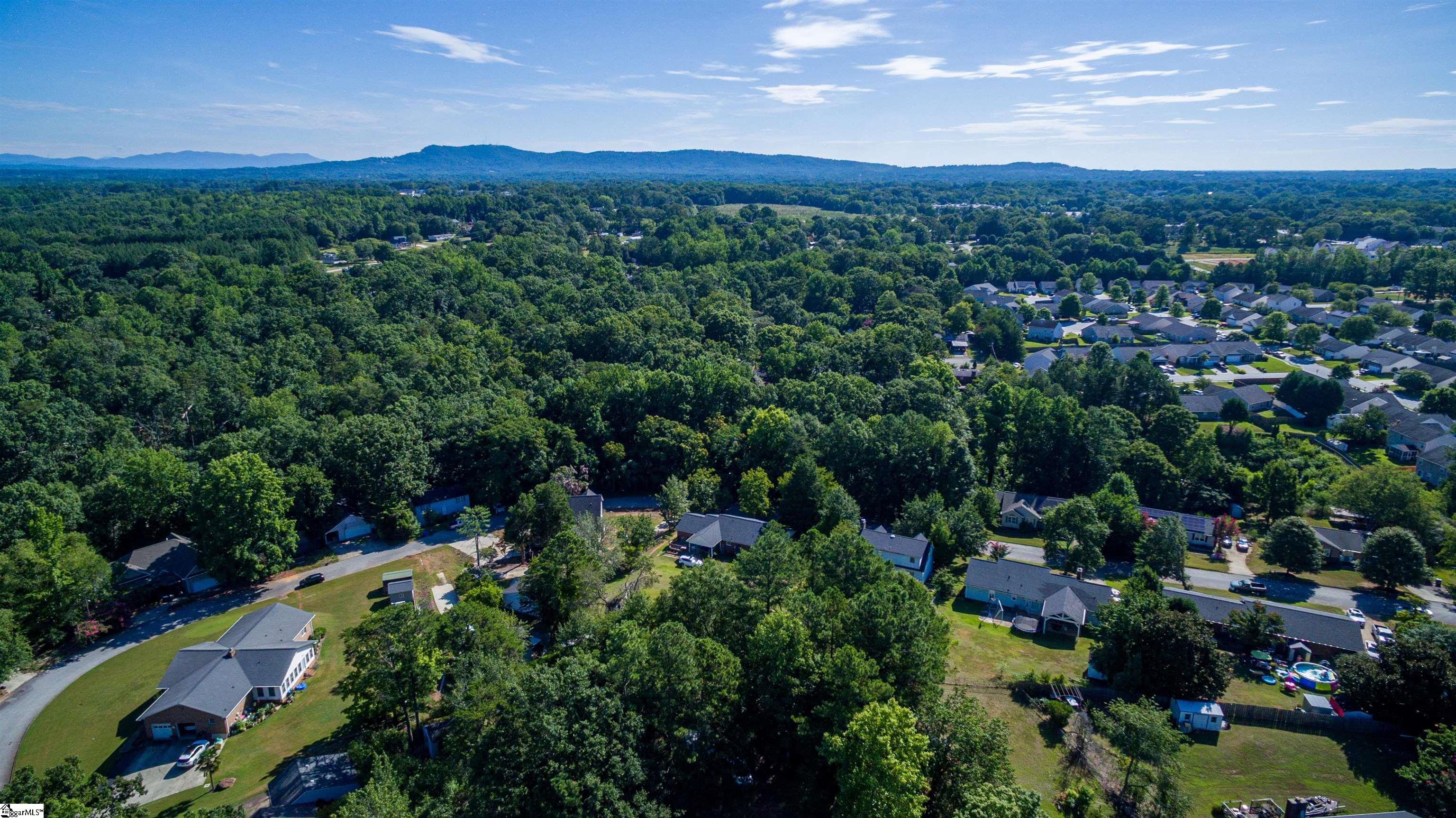 1242 Green Fern Drive