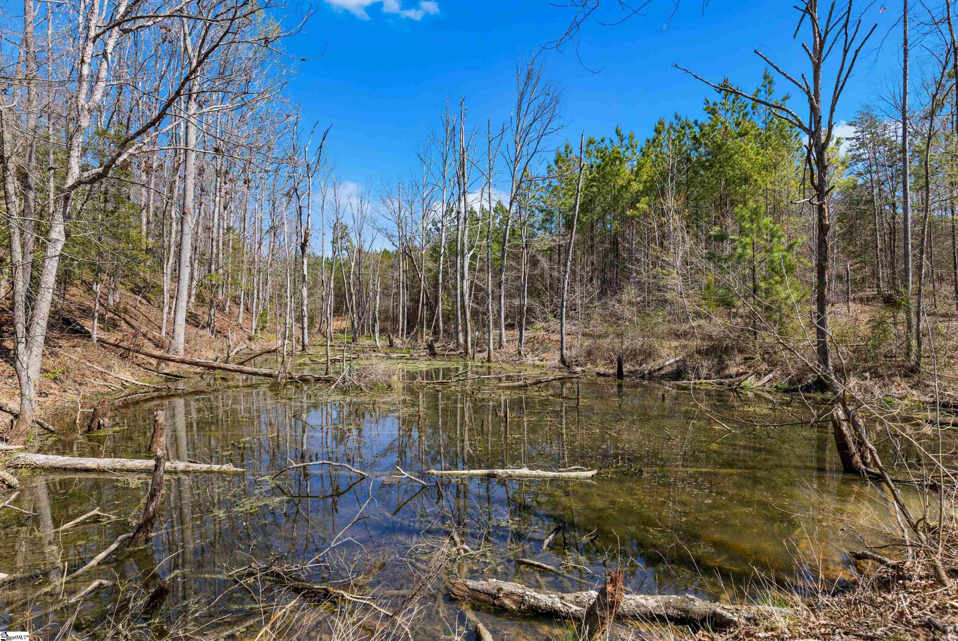 242 Mattie Campbell Road