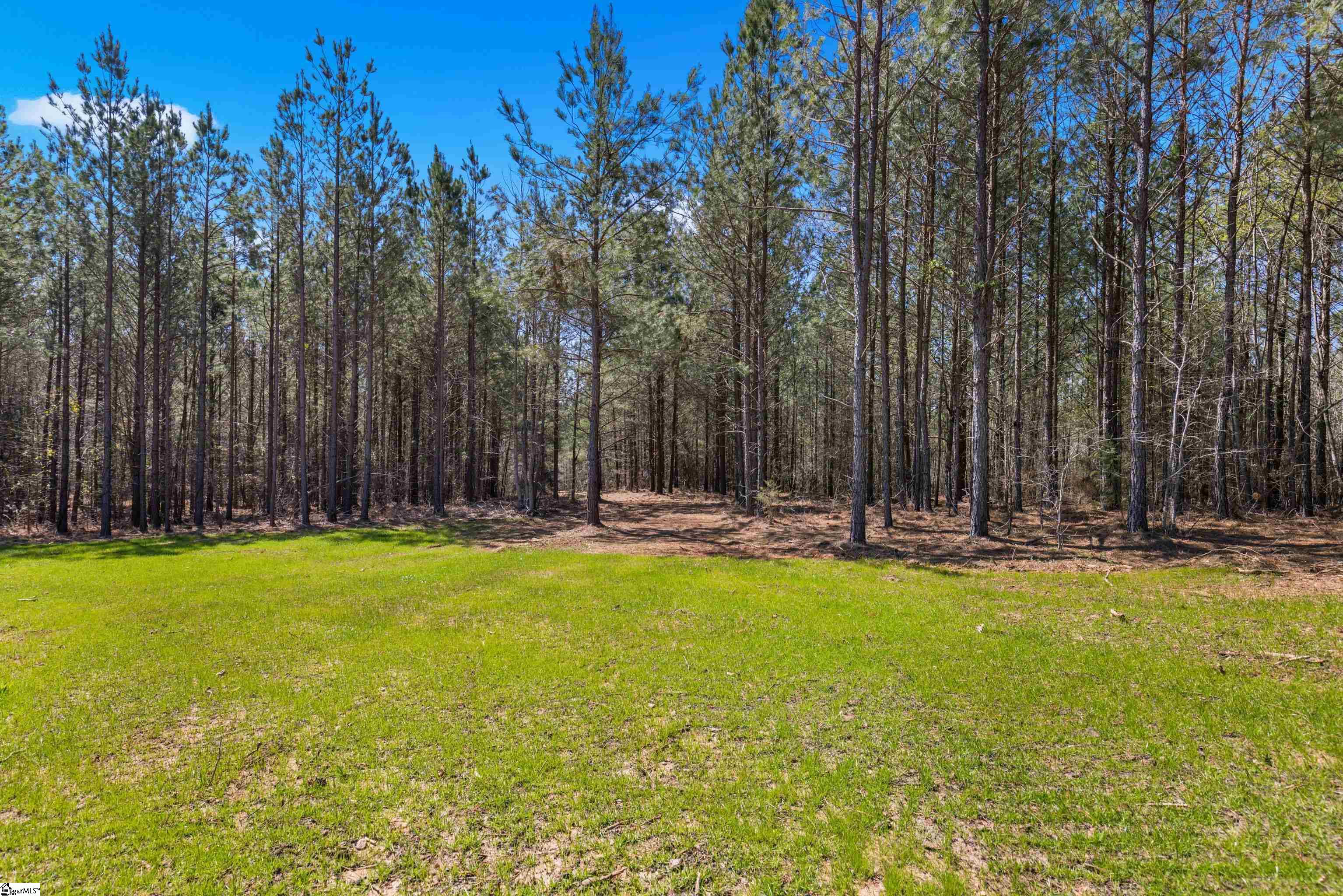 242 Mattie Campbell Road