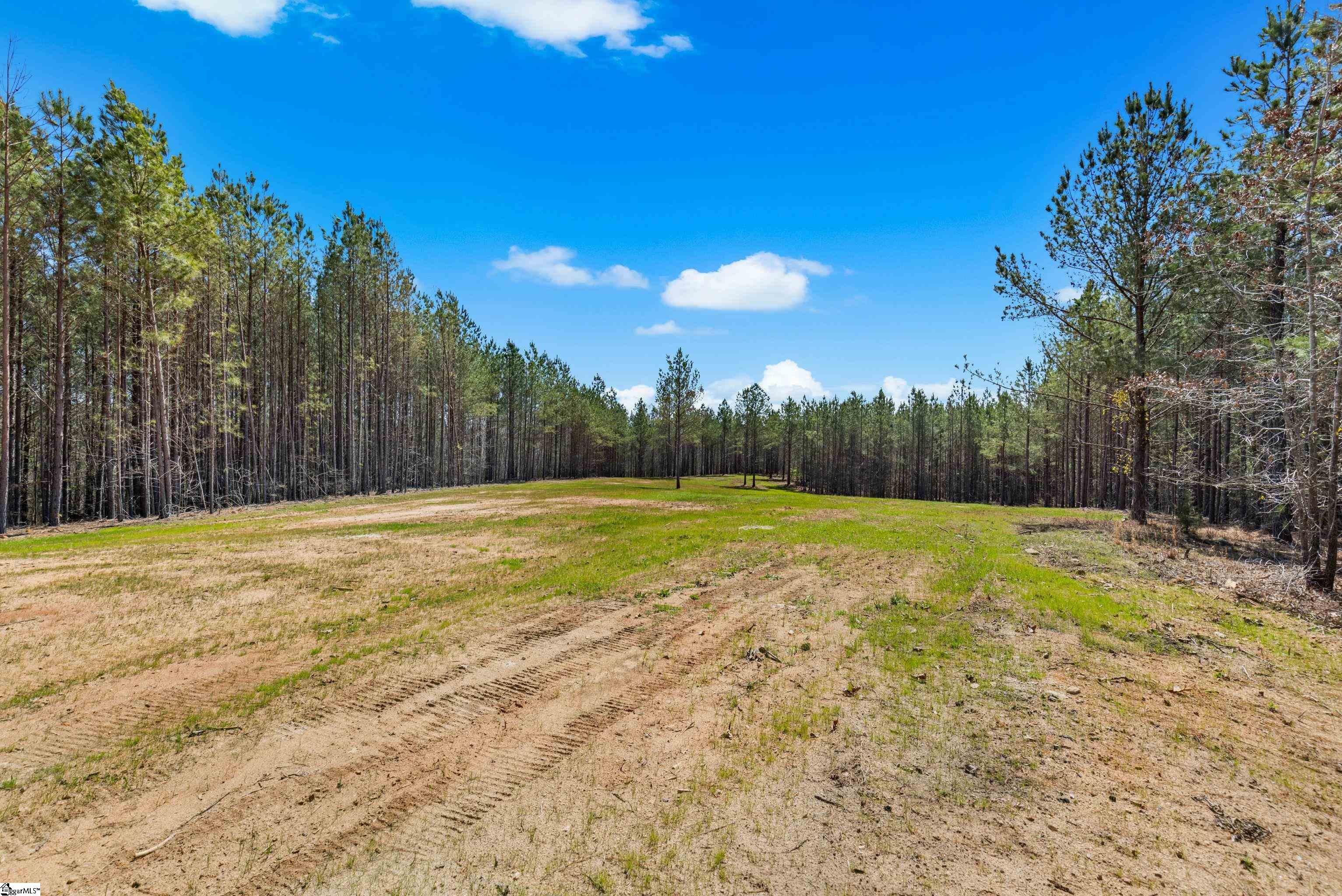 242 Mattie Campbell Road