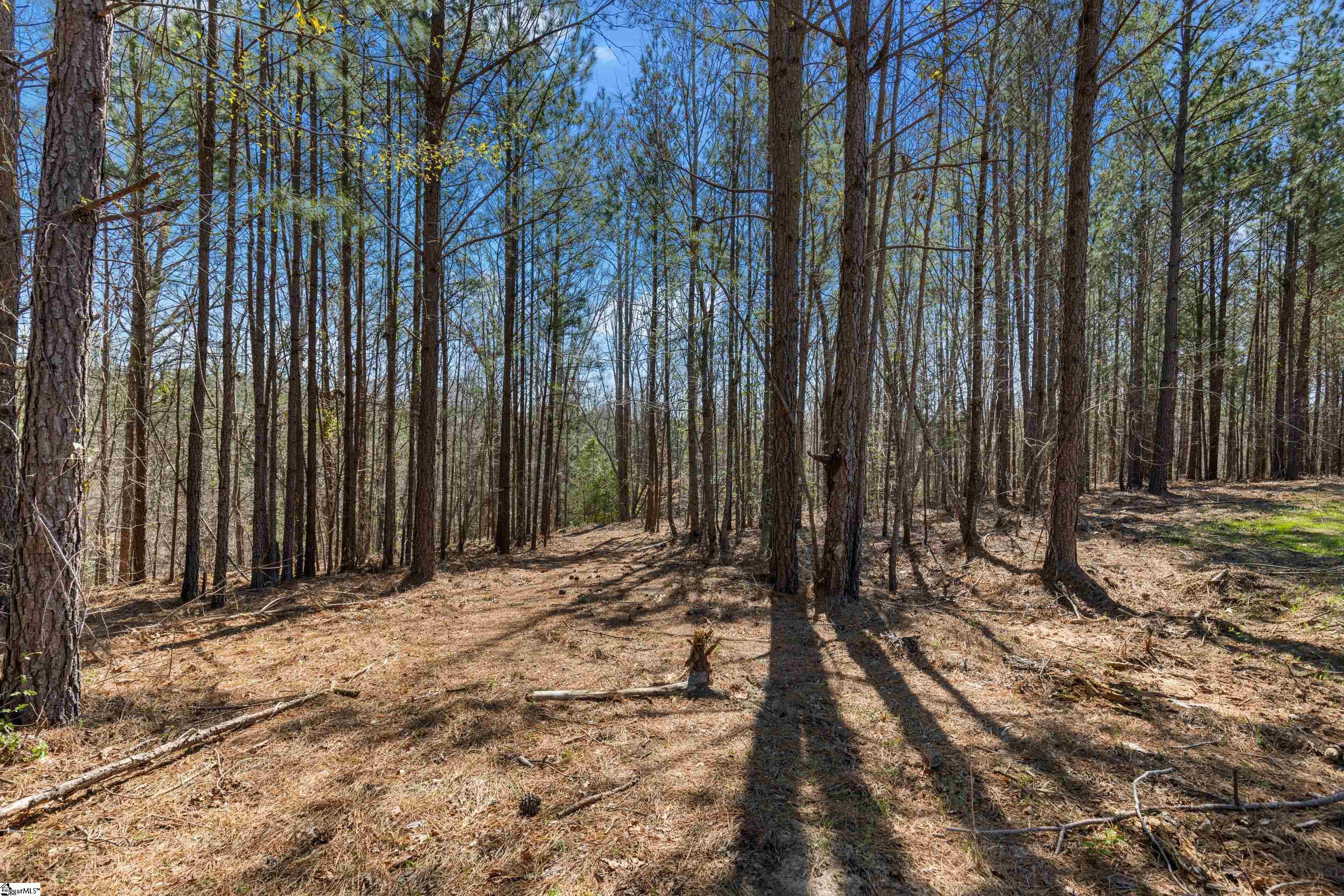 242 Mattie Campbell Road